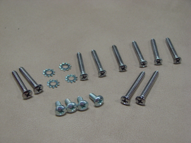 BHK 163 Door Stainless Moulding Screws For 1964-1965-1966 Ford Thunderbird (BHK163)