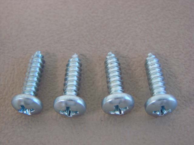 DHK9049 Tail Light Bezel Screws (8 Pieces)