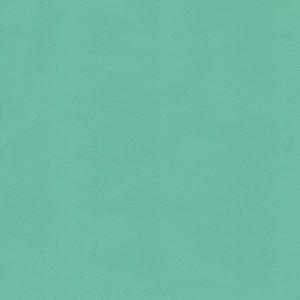 MVI5512 Vinyl, Light Green Haircell
