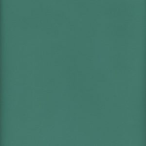 MVI5507 Vinyl, Aqua Haircell