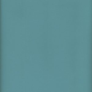 UVI5508 Vinyl 55 Light Blue Haircell