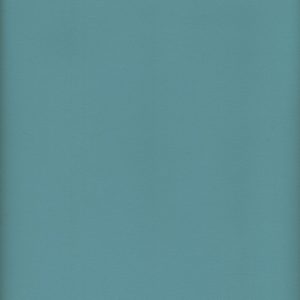 MVI5508 Vinyl, Light Blue Haircell