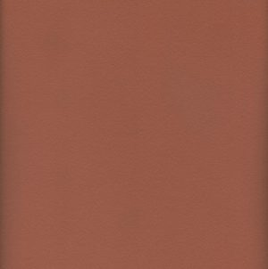 MVI5612 Vinyl, Coral Haircell