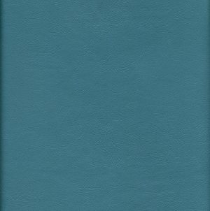 MVI6101 Vinyl, Aqua Sierra