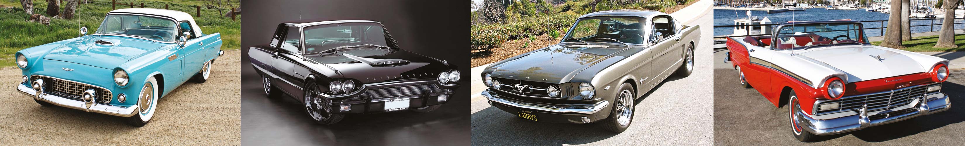 Larry&#8217;s Thunderbird &#038; Mustang Parts